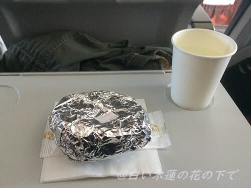 天津航空機内食