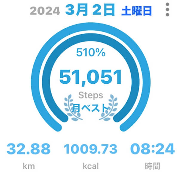 歩数と距離（竹内街道ウォーキング）