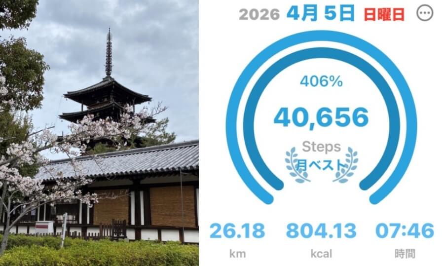 法隆寺と歩数記録