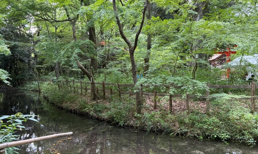 糺の森